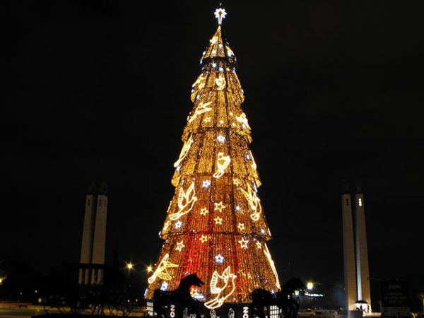 Cây thông Noel lớn nhất Châu Âu