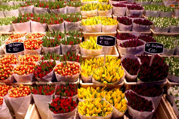Chợ hoa Bloemenmark