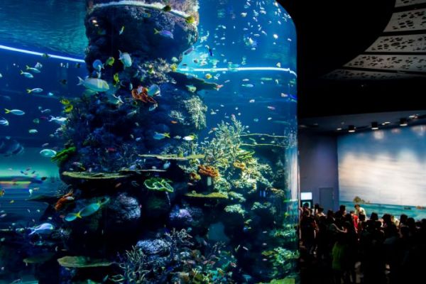 thuy cung sea aquarium