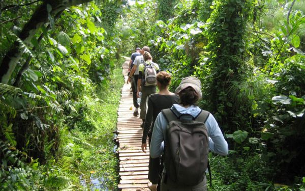 Tour du lịch khám phá khu rừng nguyên sinh Phú Quốc