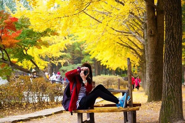 Mùa thu ở Hàn Quốc rất lãng mạn