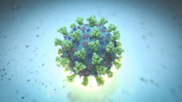 Virus COVID-19 - hỉnh ảnh mô phỏng