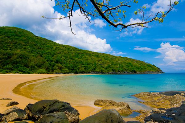 Bãi Đầm Trầu - “ốc đảo xanh” của Côn Đảo