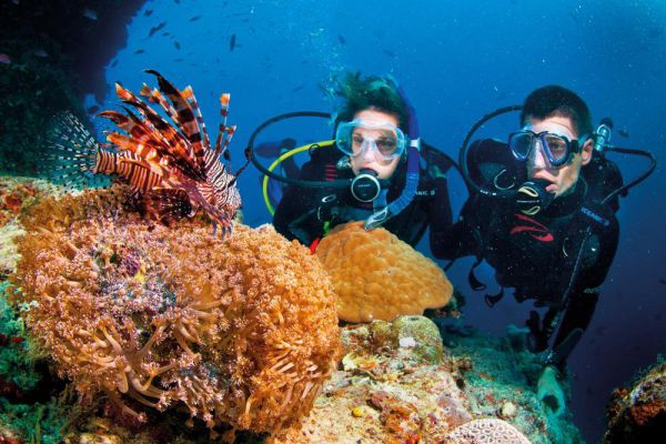 Trải nghiệm lặn ngắm san hô tại Côn Đảo