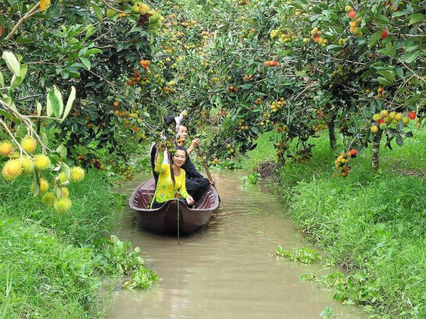 Đi thuyền khám phá vườn cây Mỹ Khánh