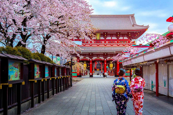 Mùa xuân là thời điểm lý trưởng để du lịch Nhật Bản