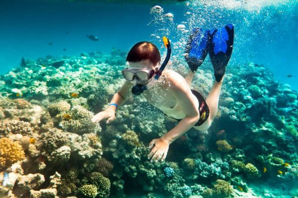 Tại sao nên đi du lịch Phú Quốc - Lặn biển hòn Móng Tay
