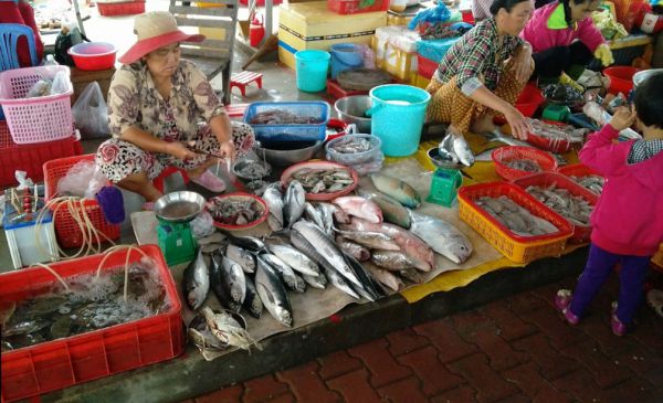 Hải sản có thể mua tại chợ Côn Đảo