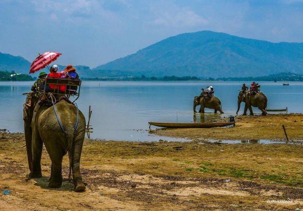 Hồ Lắk - Điểm du lịch nổi tiếng của Buôn Mê Thuột (Nguồn: Sưu tầm)