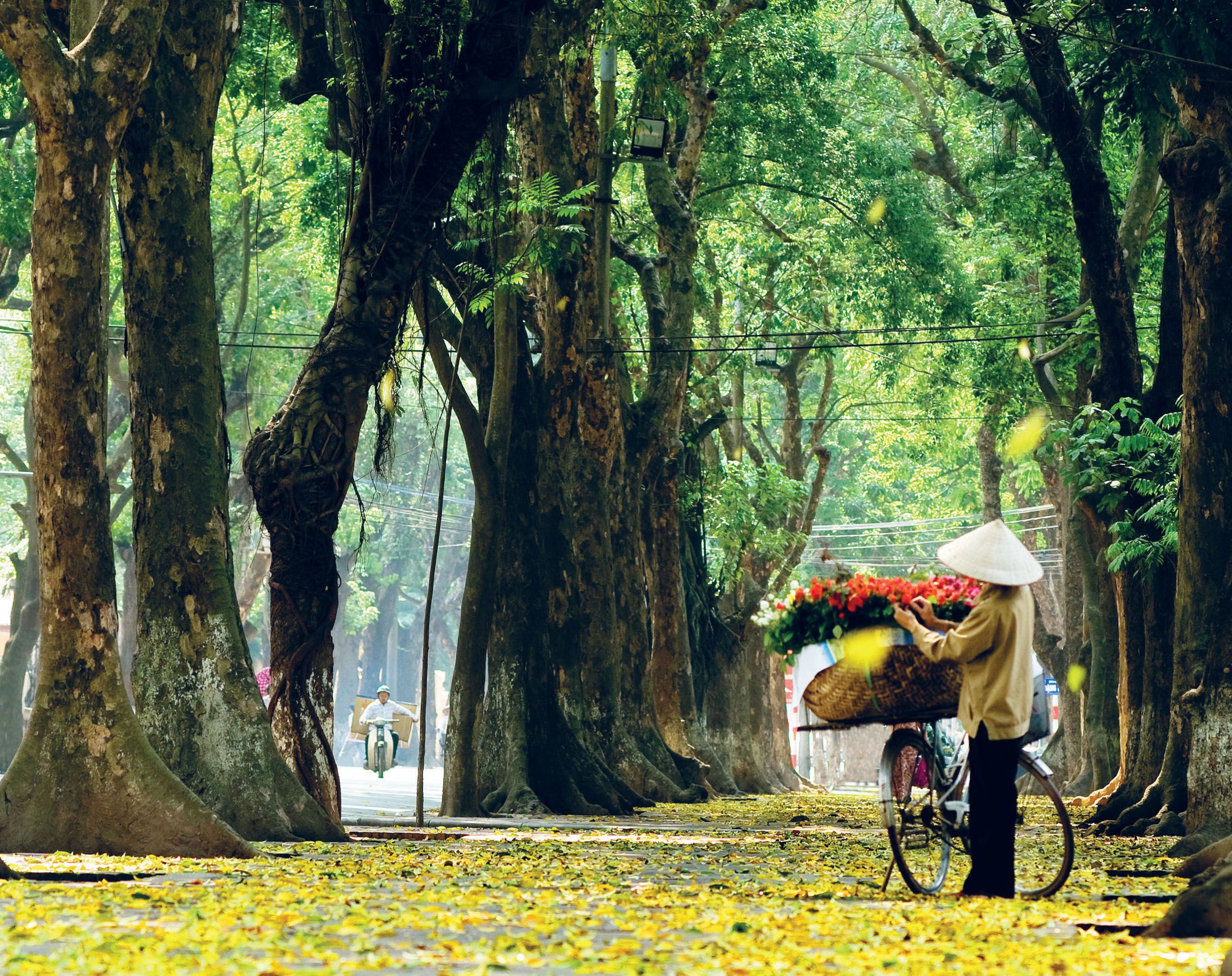 Mùa thu Hà Nội vẫn là mùa đẹp nhất để du lịch