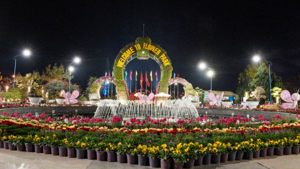 Vườn hoa thành phố Đà Lạt về đêm