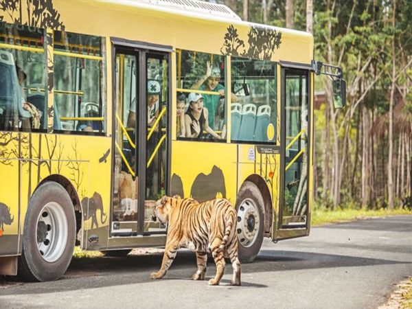 khám phá Safari Phú Quốc bằng xe điện