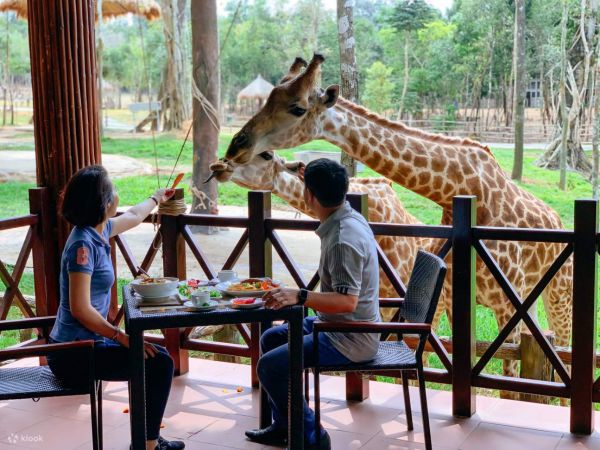 Hệ thống nhà hàng ẩm thực tại Vinpearl Safari Phú Quốc vô cùng đa dạng vào phong phú