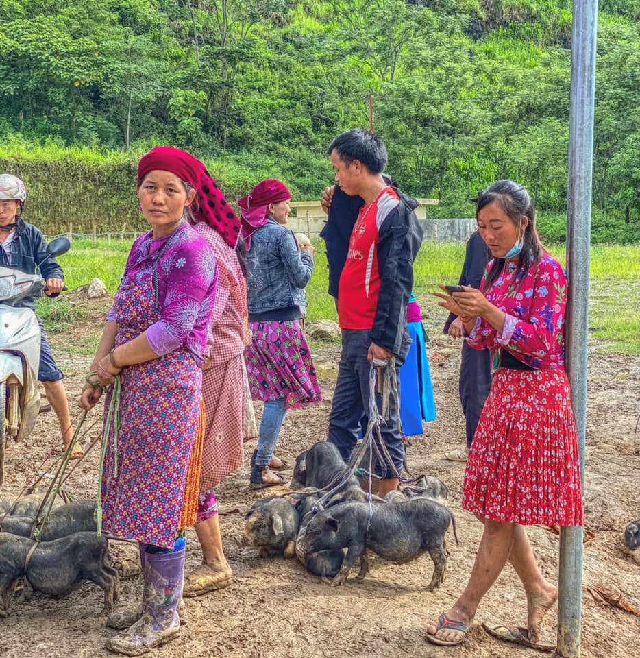 Hoạt động trao đổi gia súc ở chợ phiên Du Già Hà Giang (Nguồn: Internet)