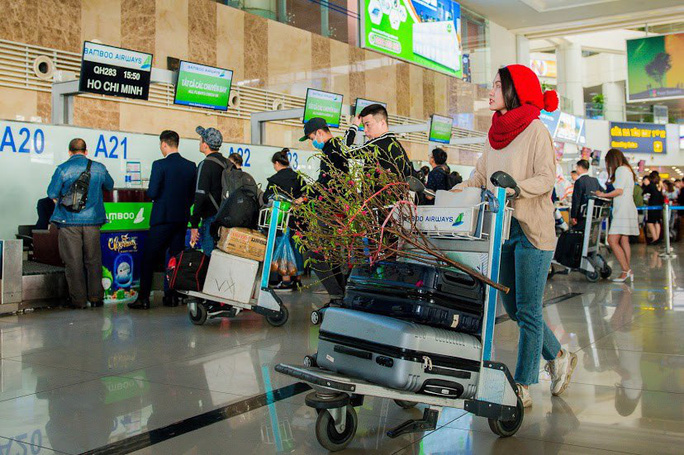 Hành khách bay Bamboo Airways vận chuyển mai đào dịp Tết