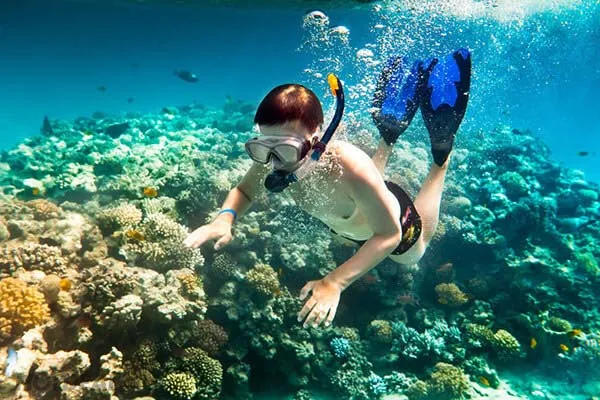 Lặn biển ngắm san hô tại Hòn Móng Tay Phú Quốc