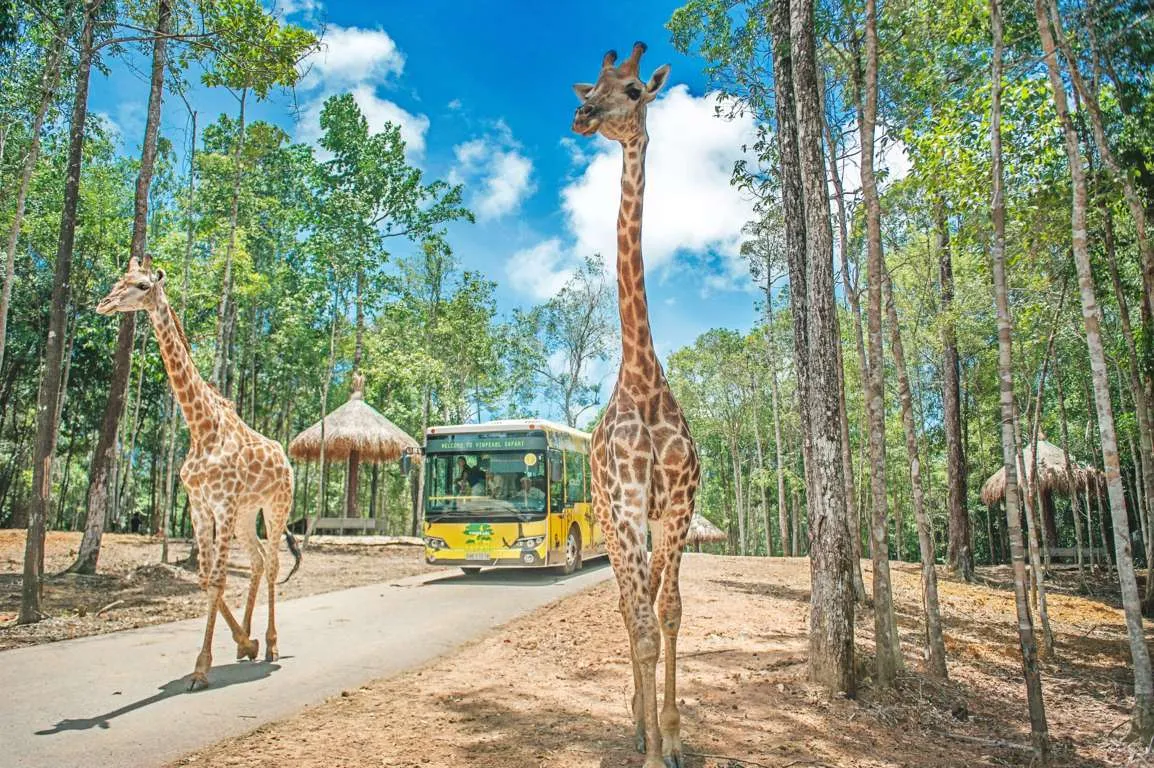 Vinpearl Safari Phú Quốc - Vườn thú bán hoang dã đầu tiên tại Việt Nam