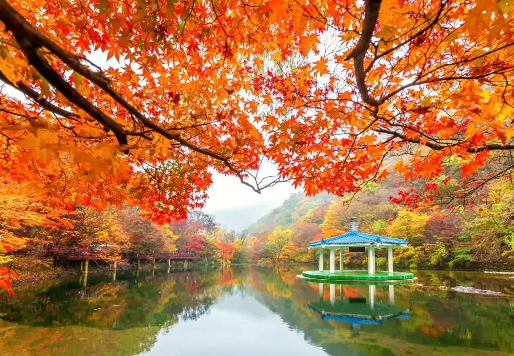 Công viên quốc gia Naejangsan Hàn Quốc 